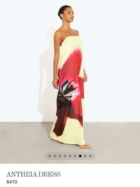 Rat & Boa Antheia Dress NWOT S/M